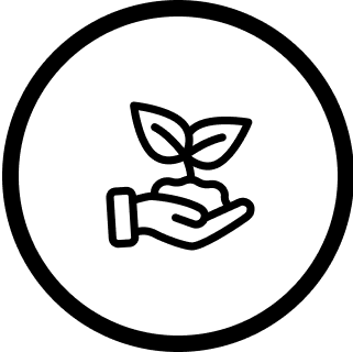 Alt Image
